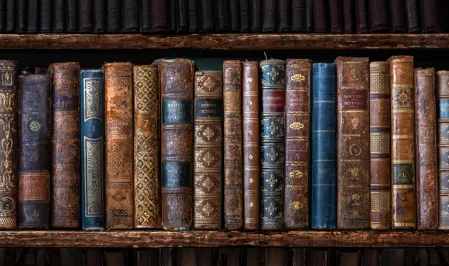 Alte B&uuml;cher im Regal