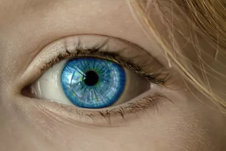 Auge Auge