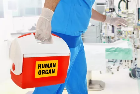 Organspende