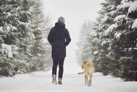 Mann und Hund beim Winterspaziergang im Schnee Mann und Hund beim Winterspaziergang im Schnee