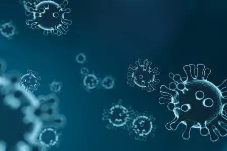 Coronavirus - COVID-19 Coronavirus - COVID-19