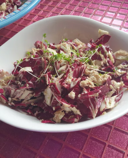 Radicchio-Salat mit Thunfisch und Feta Radicchio-Salat mit Thunfisch und Feta