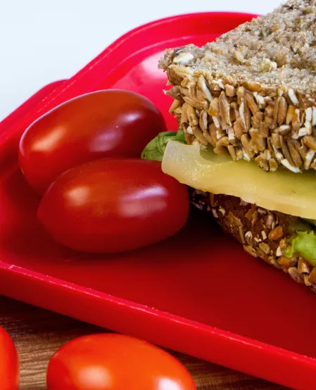 Brot, Obst und Gemüse für die Schulpause Brot, Obst und Gemüse für die Schulpause
