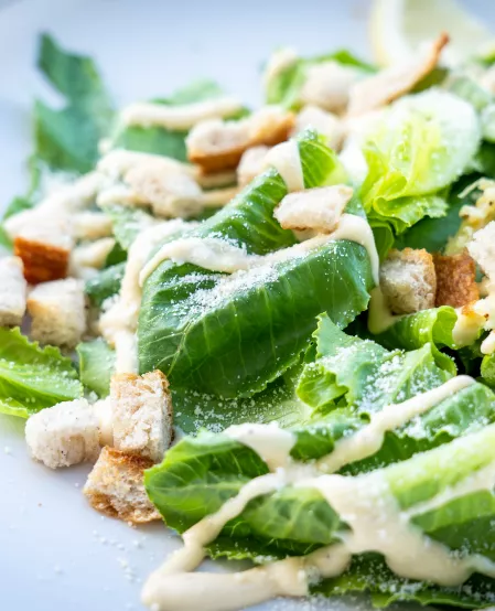 Cesar Salat Cesar Salat
