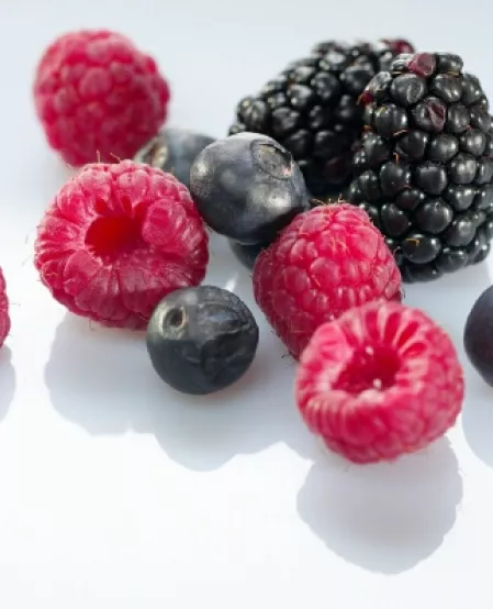 Brombeeren, Heidelbeeren, Himbeeren Brombeeren, Heidelbeeren, Himbeeren