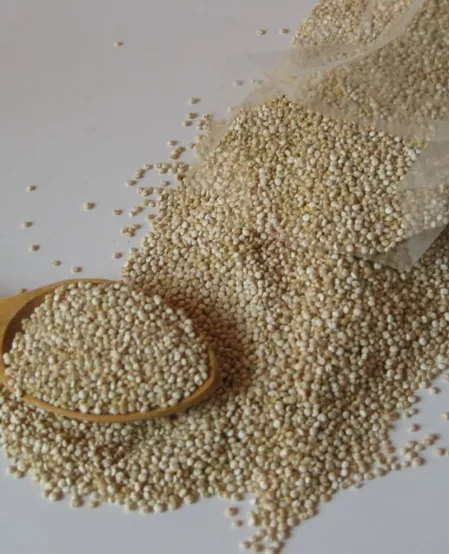 Quinoa mit Himbeer-Limetten-Vinaigrette und Grillgemüse | diabetesDE ...