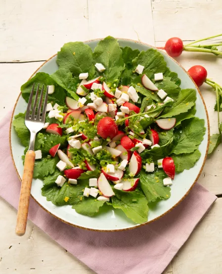 Radieschen-Zweierlei mit veganem Feta Radieschen und veganer Feta auf einem Bett von Radieschenblättern