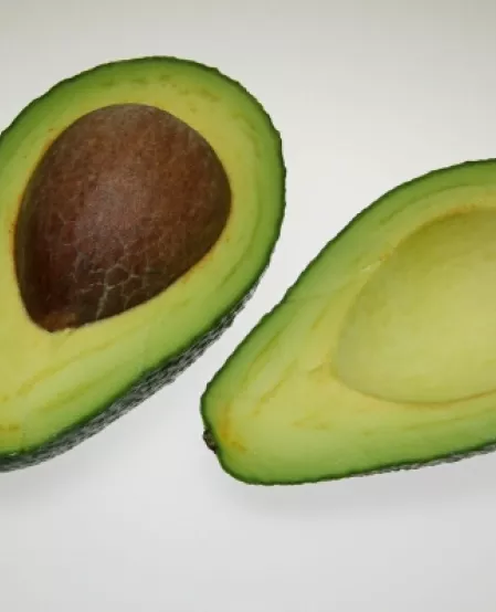 Avocado Avocado