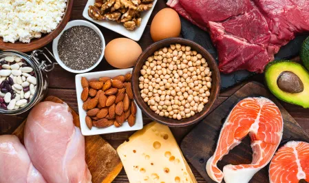 verschiedene proteinhaltige Lebensmittel: Hülsenfrüchte, Nüsse, Samen, Avocado, Fleisch, Eier, Käse, Reis