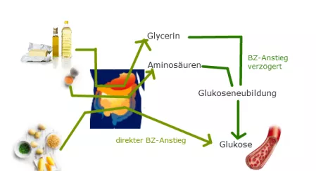 Blutzuckeranstieg Grafik Blutzuckeranstieg Grafik