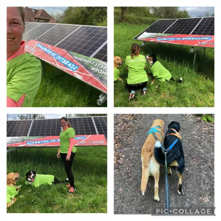 Team Diabetes in Bewegung (Diabeteszentrum Minden) beim Diabetes-Lauf