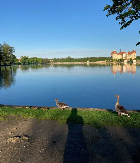 Kornelia Kohn ist im schönen Moritzburg gewalkt