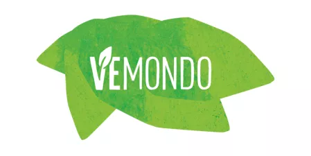 Logo Vermondo 2023 Logo Vermondo 2023