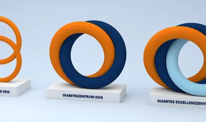 Zertifikate der DDG