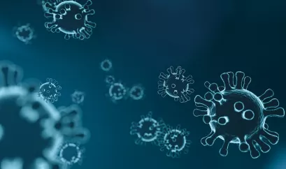 Coronavirus - COVID-19