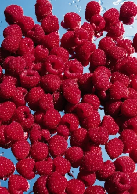 Himbeeren Himbeeren