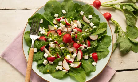 Radieschen und veganer Feta auf einem Bett von Radieschenblättern