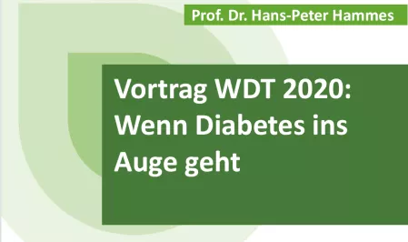 Teaser WDT 2020: Vortrag Hammes Auge