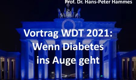 Teaserbild WDT 2021 Vortrag Hammes Auge